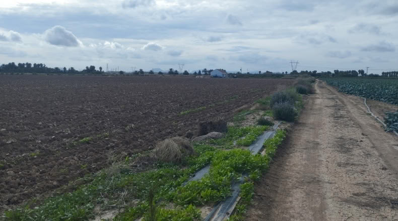 Múrcia - Cartagena - 33540m2
