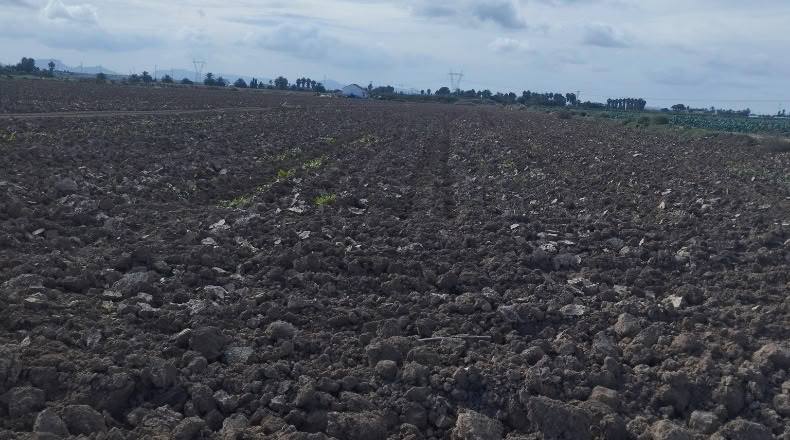 Múrcia - Cartagena - 33540m2