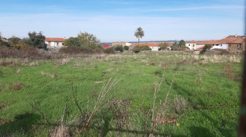 Cáceres - Ruanes - 5787m2