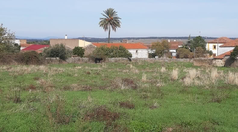 Cáceres - Ruanes - 5787m2