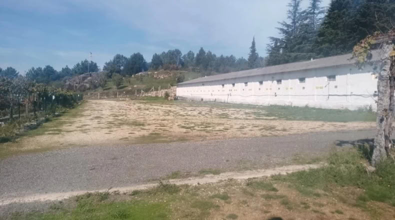 Pontevedra - Goimil - 2000m2