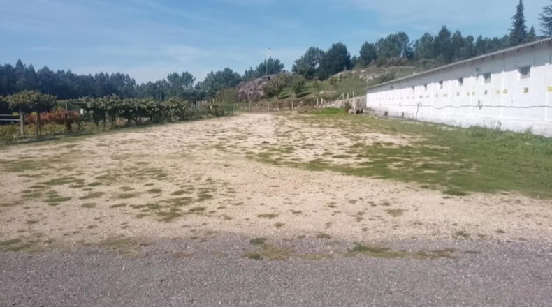 Pontevedra - Goimil - 2000m2