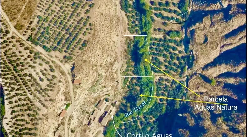Jaén - Ceal - 3700m2