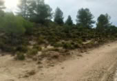 Terreno no urbanizable en venta en la Sierra Baja, Zucaina, ref: TR365969 foto