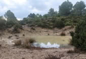 Terreno no urbanizable en venta en la Sierra Baja, Zucaina, ref: TR365969 foto