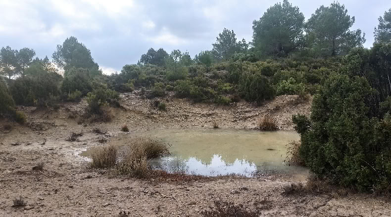 Castellón - Zucaina - 25000m2