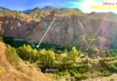 Non-developable land for sale on Ceal, ref: TR356900 photo