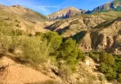 Non-developable land for sale on Ceal, ref: TR360453 photo