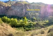 Non-developable land for sale on Ceal, ref: TR360453 photo