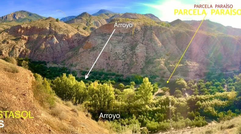 Jaen - Huesa - 3700m2