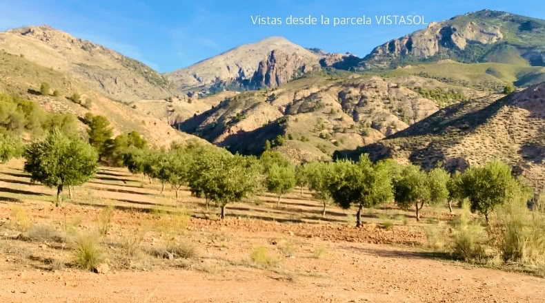 Jaen - Huesa - 3700m2
