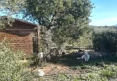 Terreny no urbanitzable en venda a la Zona el lugo, Villamartín, ref.: TR367316 foto