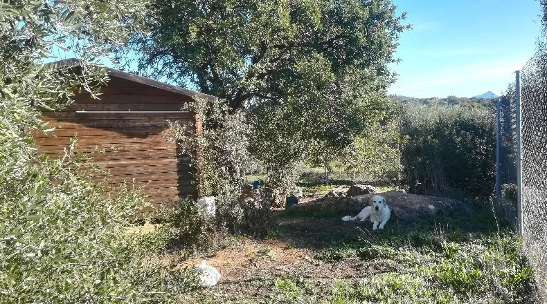 Кадис - Villamartín - 25000m2