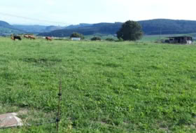 Bareyo 832&nbsp;m²