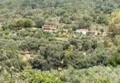 Casa de piedra con terreno en alquiler en la desconocida, Villanueva de la Vera, ref: TR367456 foto