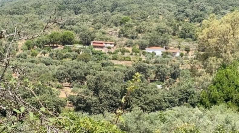 Cáceres - Villanueva de la Vera - 10000m2