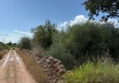 Terreno no urbanizable en venta en la Camí Vell de Vila-real a Onda, Vila-real, ref: TR367457 foto