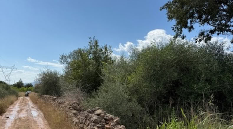 Castellón - Villarreal - 2477m2