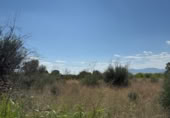 Terreno no urbanizable en venta en la Camí Vell de Vila-real a Onda, Vila-real, ref: TR367457 foto