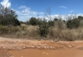 Terreno no urbanizable en venta en la Camí Vell de Vila-real a Onda, Vila-real, ref: TR367457 foto