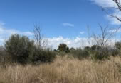 Terreno no urbanizable en venta en la Camí Vell de Vila-real a Onda, Vila-real, ref: TR367457 foto