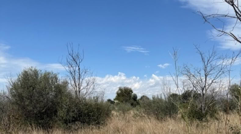 Castellón - Villarreal - 2477m2
