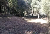 Non-developable land for sale on Carrer El Prat, Òrrius, ref: TR368009 photo