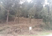 Non-developable land for sale on Carrer El Prat, Òrrius, ref: TR368009 photo