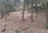 Non-developable land for sale on Carrer El Prat, Òrrius, ref: TR368009 photo