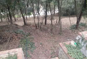 Òrrius 1961&nbsp;m²