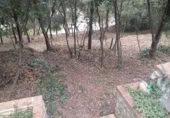 Non-developable land for sale on Carrer El Prat, Òrrius, ref: TR368009 photo