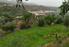Albuñuelas 5000&nbsp;м²