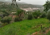 Terreno no urbanizable en venta en la Cimbra, Albuñuelas, ref: TR368116 foto