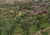 Terreno no urbanizable en venta en la Cimbra, Albuñuelas, ref: TR368116 foto