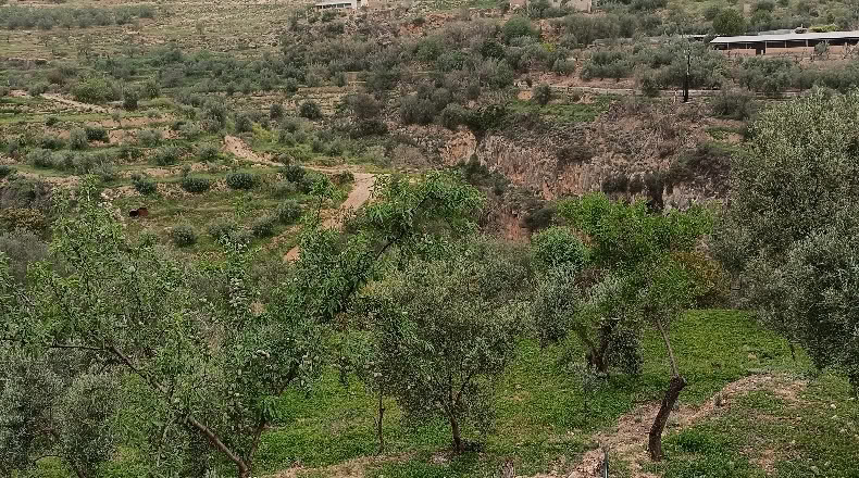 Granada - Albuñuelas - 5000m2