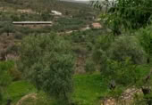 Terreno no urbanizable en venta en la Cimbra, Albuñuelas, ref: TR368116 foto