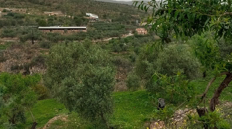 Granada - Albuñuelas - 5000m2