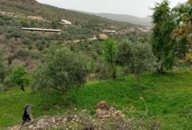 Albuñuelas 5000&nbsp;м²