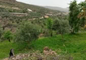 Terreno no urbanizable en venta en la Cimbra, Albuñuelas, ref: TR368116 foto