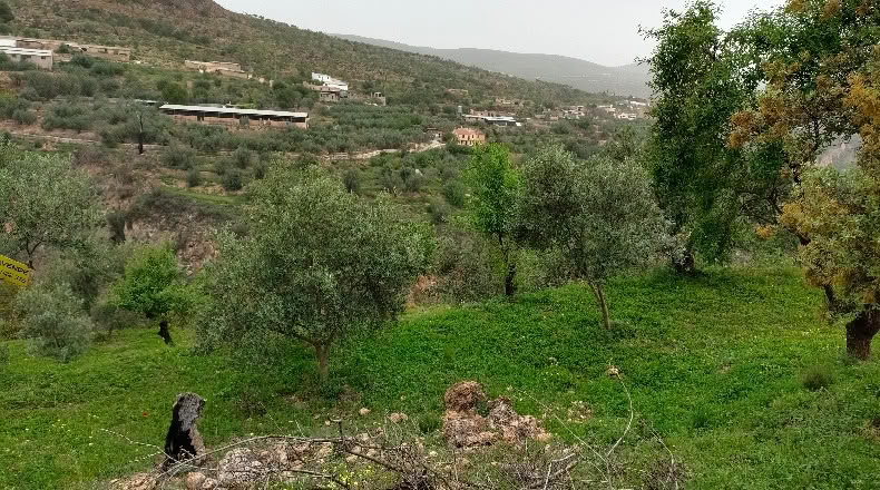 Granada - Albuñuelas - 5000m2