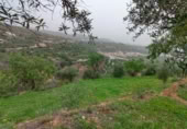 Terreno no urbanizable en venta en la Cimbra, Albuñuelas, ref: TR368116 foto