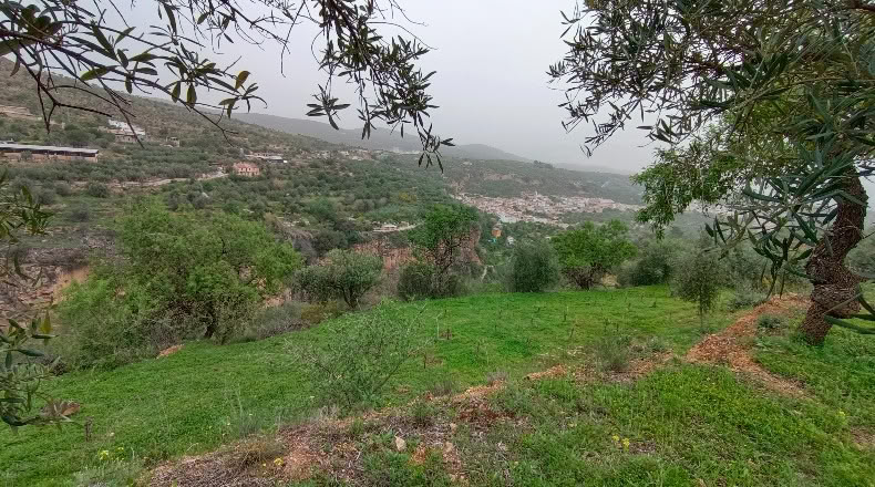 Granada - Albuñuelas - 5000m2
