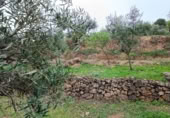 Terreno no urbanizable en venta en la Cimbra, Albuñuelas, ref: TR368116 foto