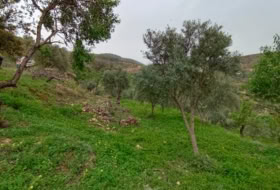 Albuñuelas 5000&nbsp;м²