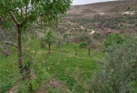 Albuñuelas 5000&nbsp;м²