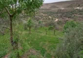 Terreno no urbanizable en venta en la Cimbra, Albuñuelas, ref: TR368116 foto