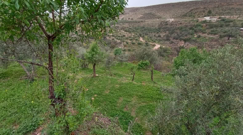Granada - Albuñuelas - 5000m2