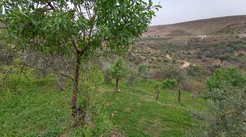 Granada - Albuñuelas - 5000m2