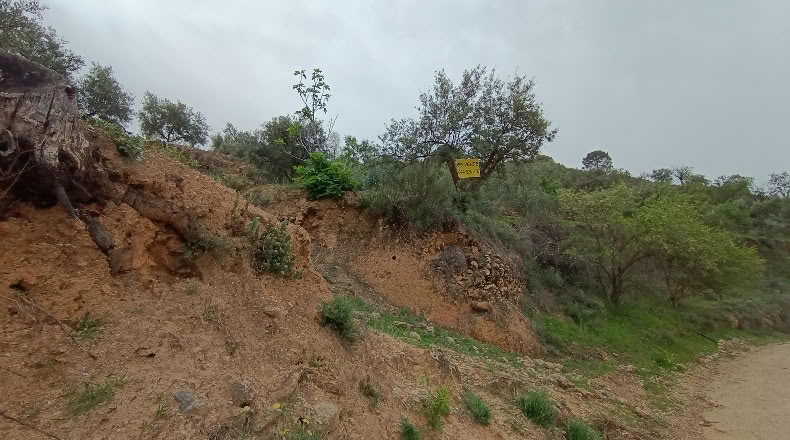 Granada - Albuñuelas - 5000m2
