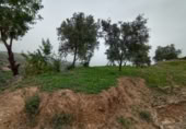 Terreno no urbanizable en venta en la Cimbra, Albuñuelas, ref: TR368116 foto